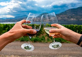 Par som skålar med vin i Okanagan Valley i Kanada