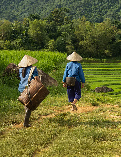 Två kvinnor på väg ut för att arbeta på risfälten i naturreservatet Pu Luong i Vietnam