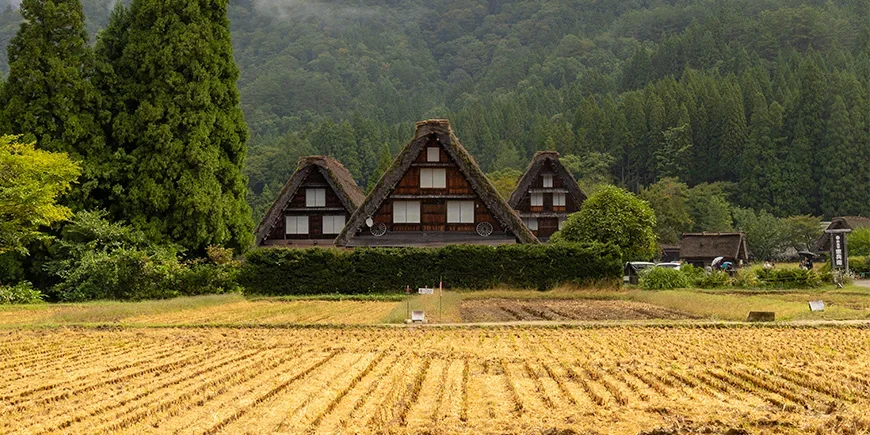 De berömda gassho-zukuri-husen i Shirakawa-Go i de japanska Alperna