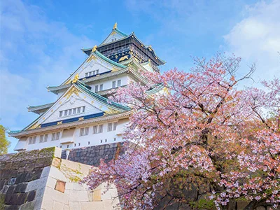 Körsbärsblomning vid Osaka Castle i Japan.