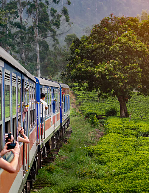 Tågresa från Nuwara Eliya till Kandy genom teplantagerna i Sri Lankas högland