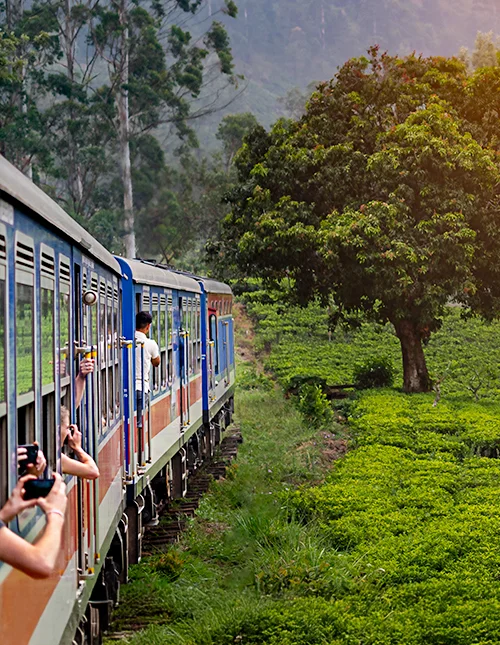 Tågresa från Nuwara Eliya till Kandy genom teplantagerna i Sri Lankas högland