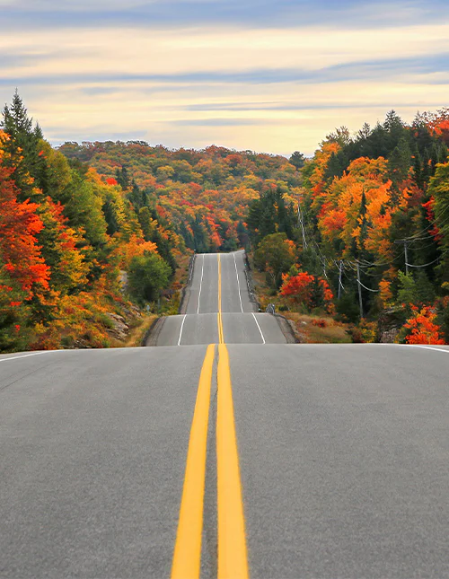 Landsväg genom Algonquin Provincial Park på hösten, Ontario, Kanada