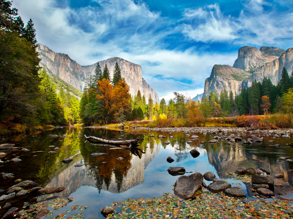El Capitan och Merced River i Yosemite nationalpark täckta av höstfärger