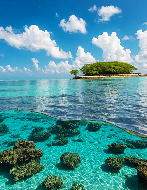 Bild på det vackra turkosblå vattnet i Malindi Marine Park