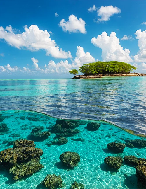 Bild på det vackra turkosblå vattnet i Malindi Marine Park