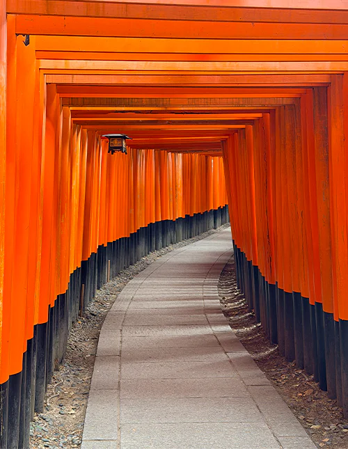 Torii-porten vid Fushimi Inari i Kyoto, Japan