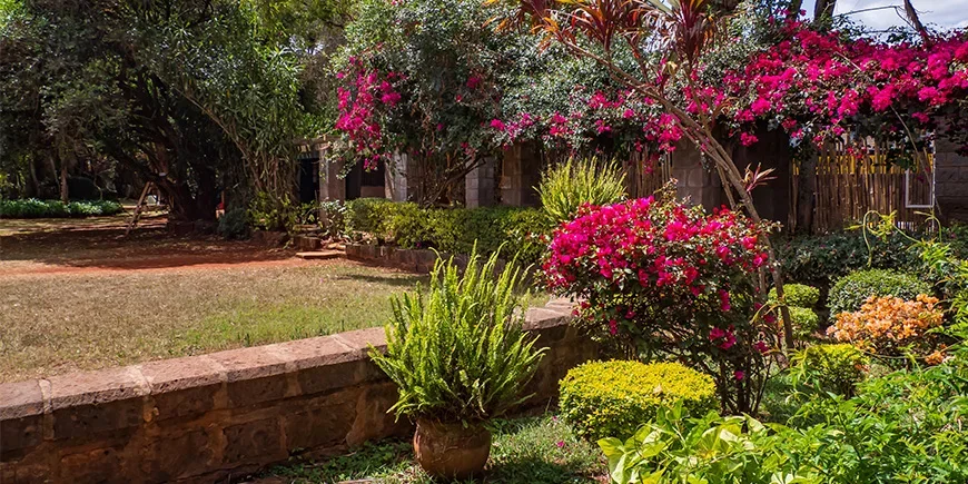 Blommor i Karen Coffee Garden