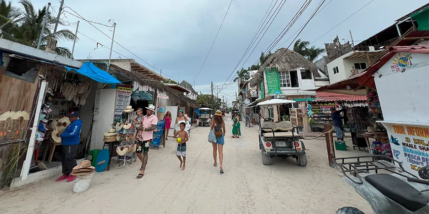 Gata på Isla Holbox