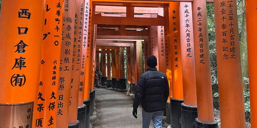 Man går genom toriiportarna vid Fushimi Inari