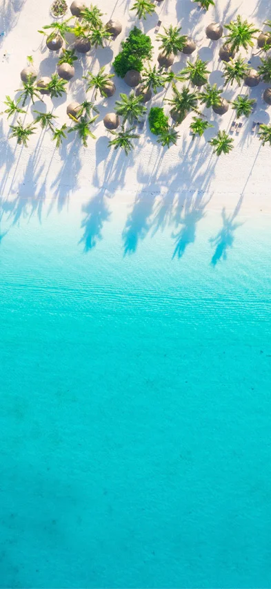 Strand på Zanzibar sedd från drönare