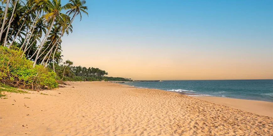 Vackert ljus på Negombo Beach