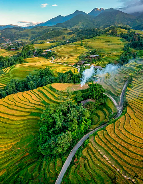 Flygfoto över risfält eller risterrasser i Sapa, Vietnam.