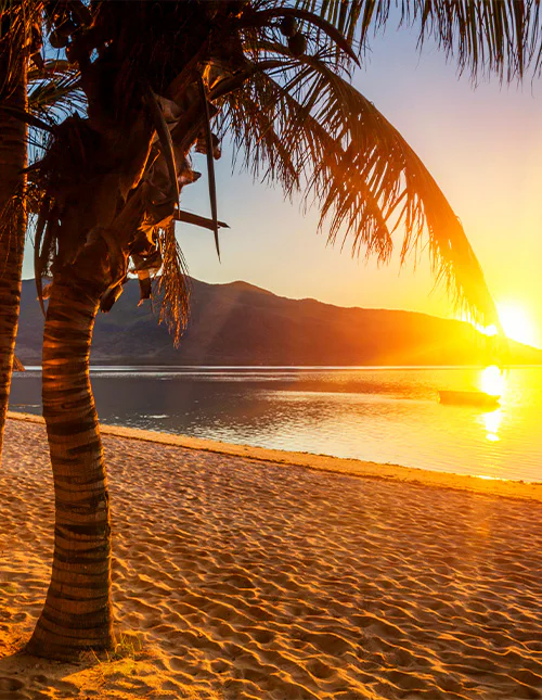 Vacker palmstrand på Mauritius i solnedgången