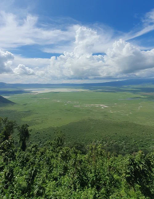 Utsikt över Ngorongorokratern i Tanzania