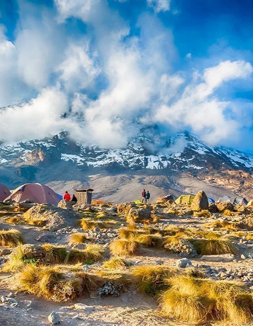 Tält vid baslägret med den snöklädda toppen av Kilimanjaro i bakgrunden.
