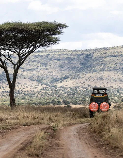 Safaribil med TourCompass logotyp kör genom savannlandskap