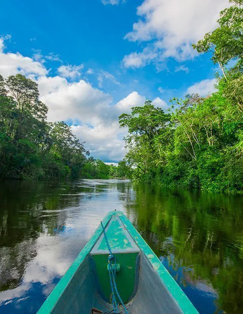 Båttur genom Amazonas regnskog