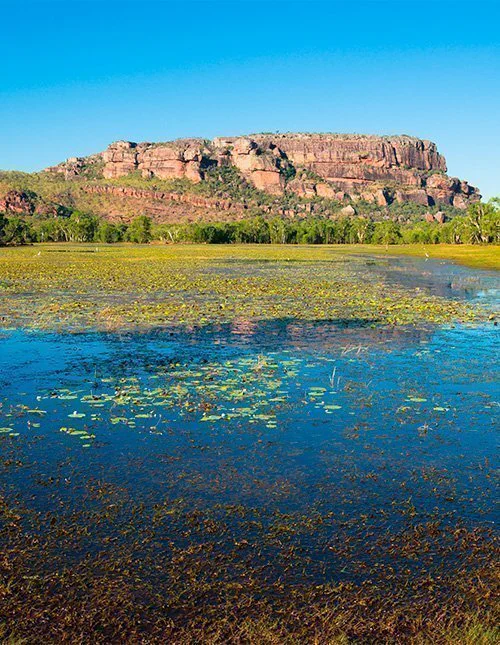 Utsikt över Nourlangie från Anbangbang Billabong, Kakadu nationalpark, Australien