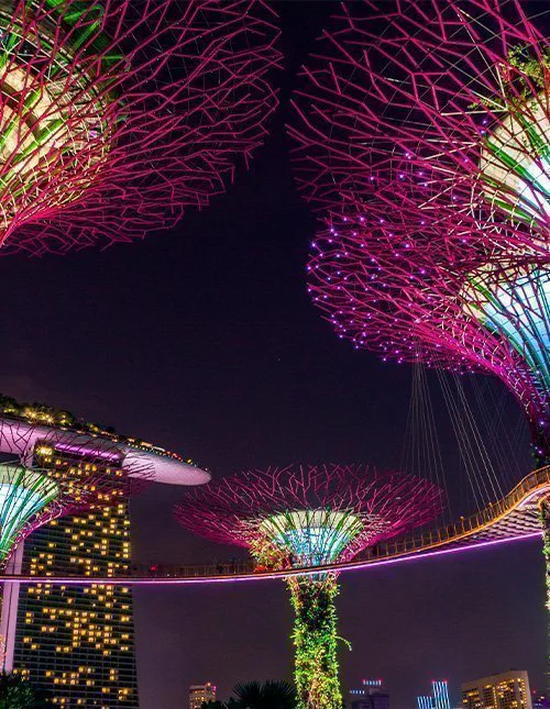 Upplysta Supertrees i Singapore lyser upp natthimlen.