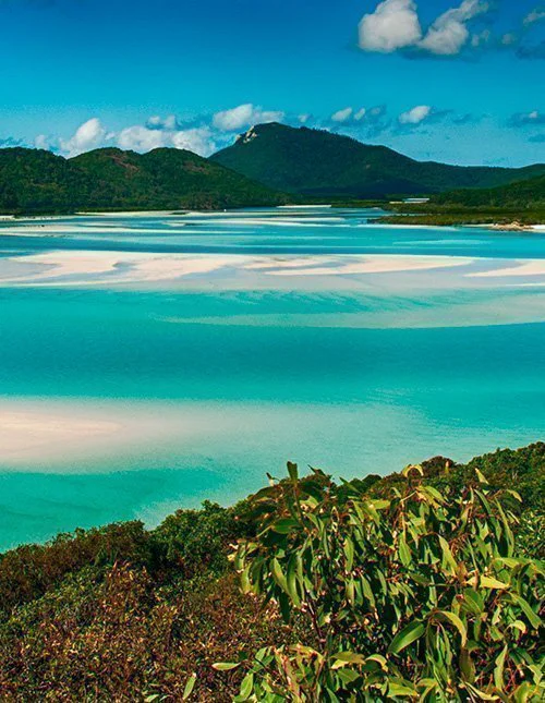 Lagunen vid Whitehaven Beach i nationalparken i Queensland