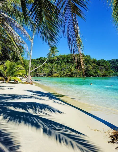 På Koh Kood i Thailand vajar frodiga palmer stilla över de mjuka sandstränderna