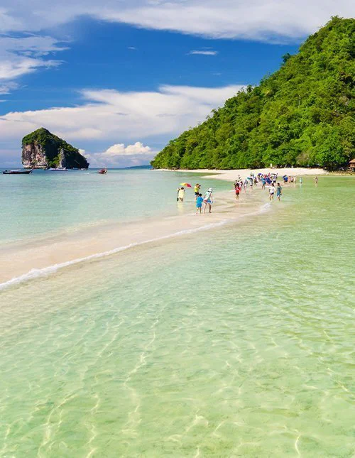 Utsikt över en bukt i Thailand vid solnedgång med stadens ljus och gröna kullar