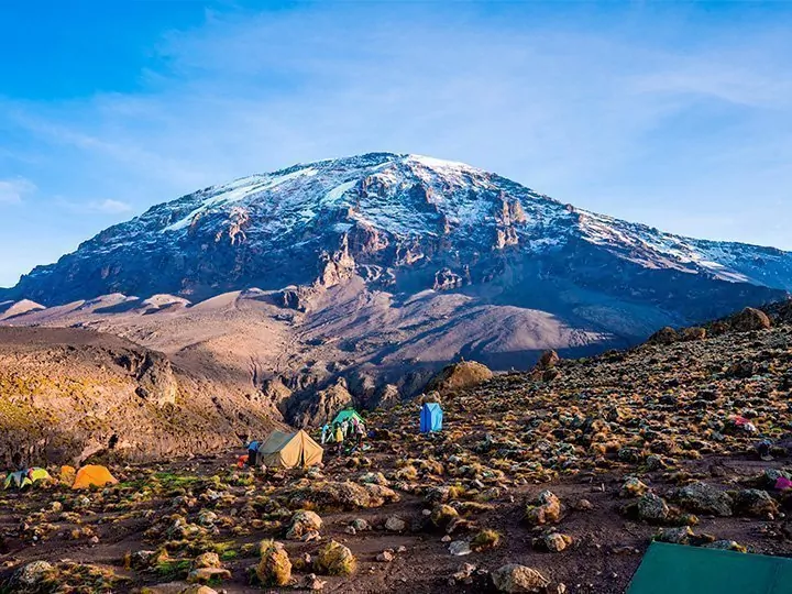 Machame-rutten & safari i 2 nationalparker