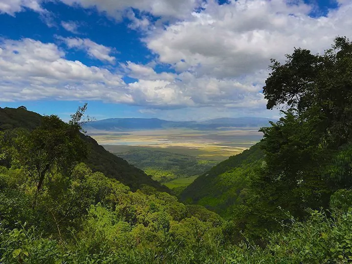 Safari i Serengeti & Ngorongoro och solsemester på Zanzibar