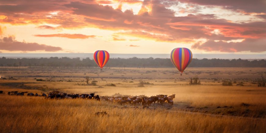 Ballongsafari