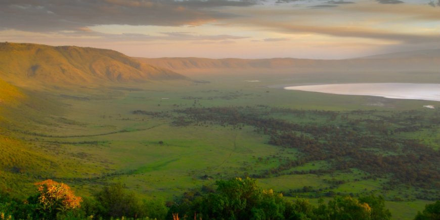 Ngorongoro-kratern