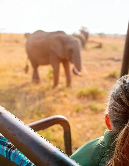 Familjesafari i Kenya