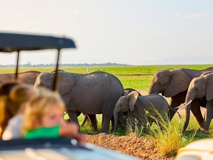 Familjesafari i Kenya