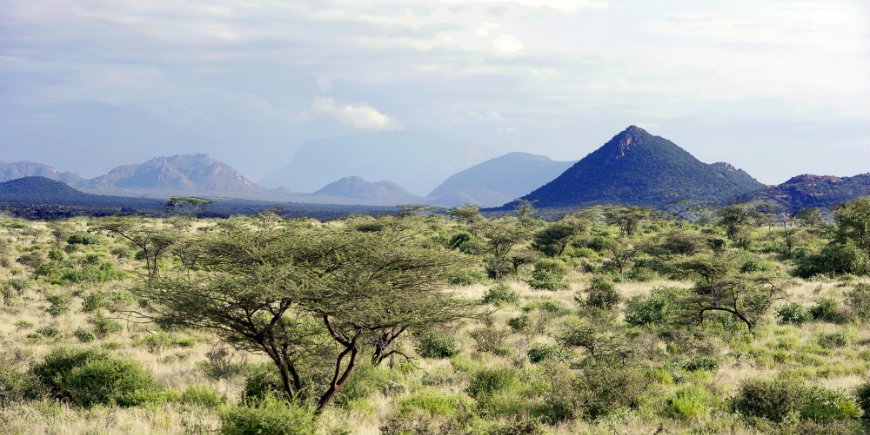 Samburu