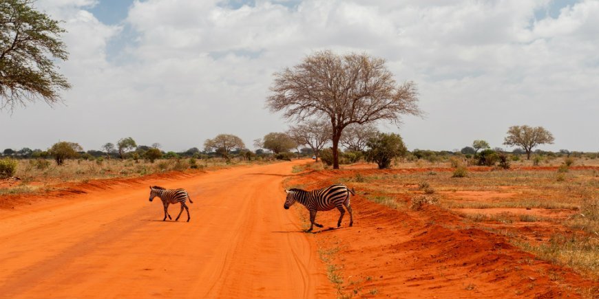 Tsavo East