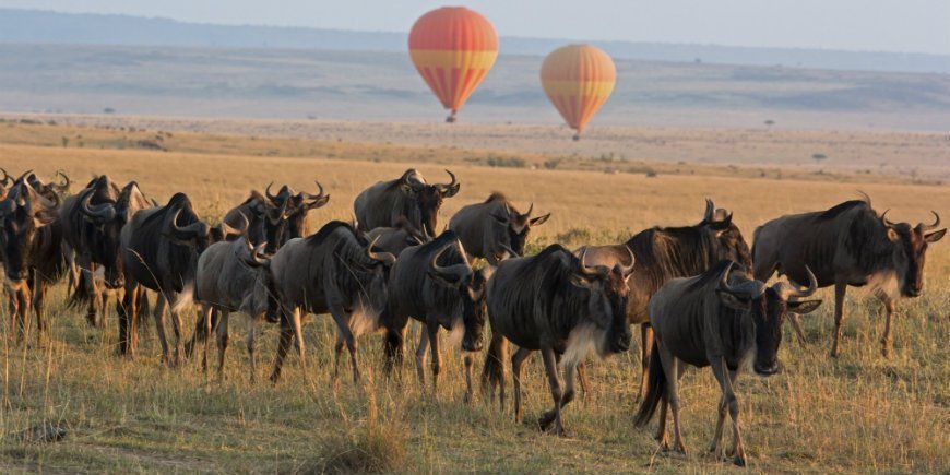 Masai Mara