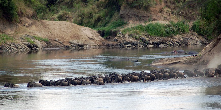 Mara crossing