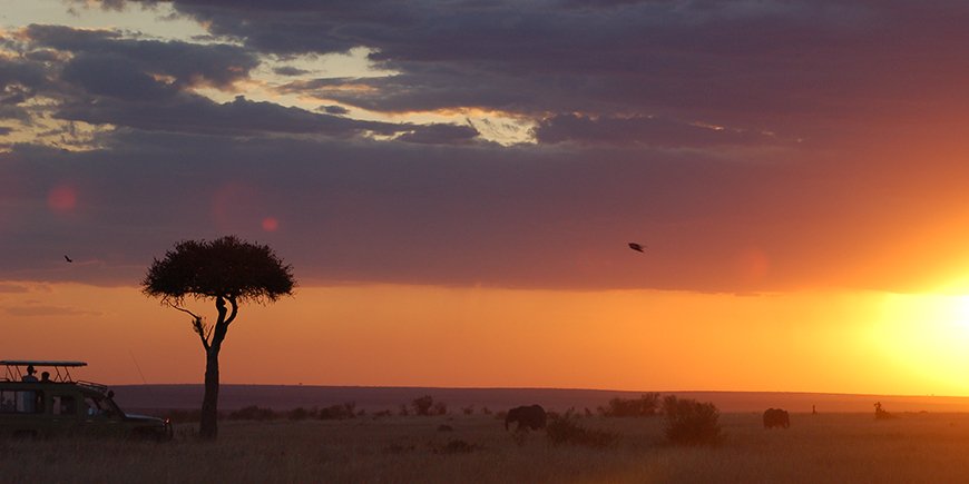 masai mara utsikt