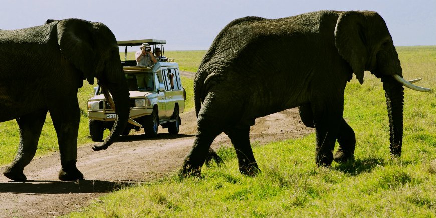 Ngorongoro, Tansania