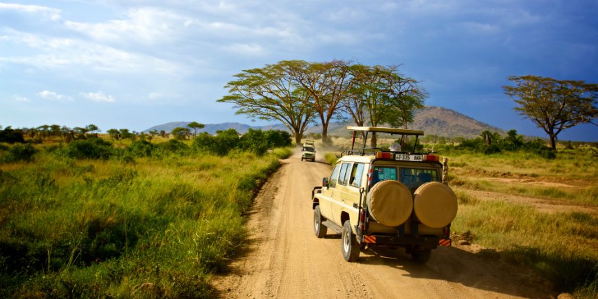 Serengeti game drive, Tanzania