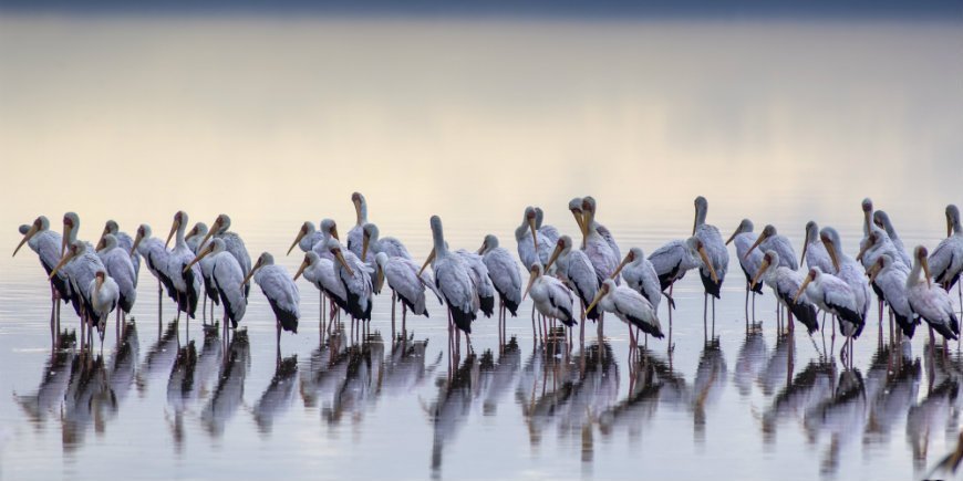 lake manyara