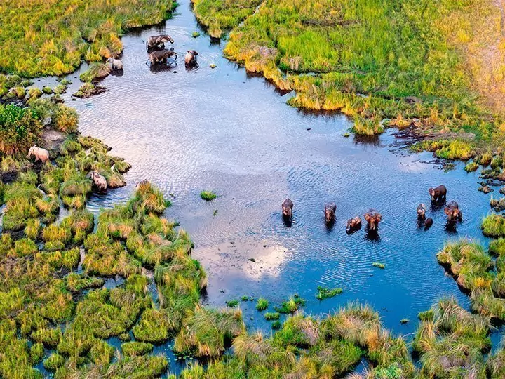 Botswana & Victoriafallen