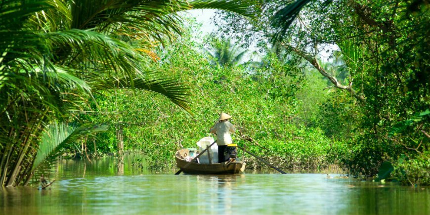 Mekong delta