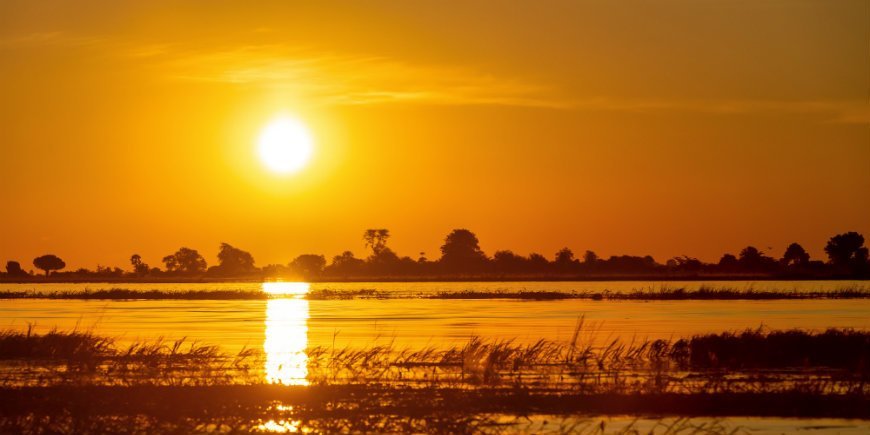 Chobe, solnedgång