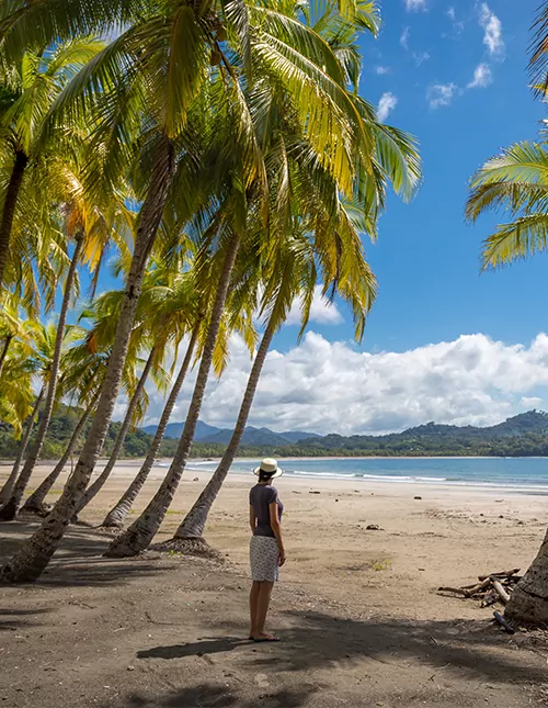 Costa Ricas höjdpunkter med solsemester i Playa Sámara
