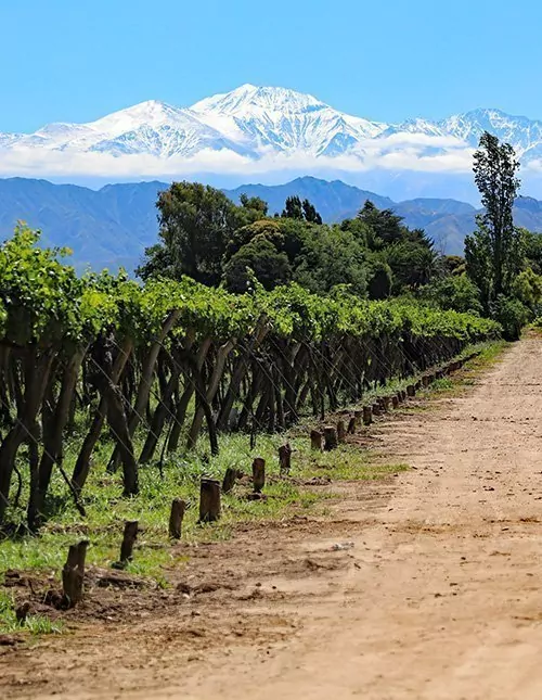 Chile & Argentina: Anderna, vin & Iguazú