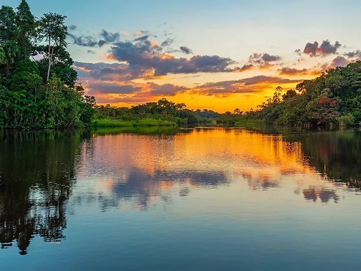 Ecuador med Amazonas & Galápagoskryssning