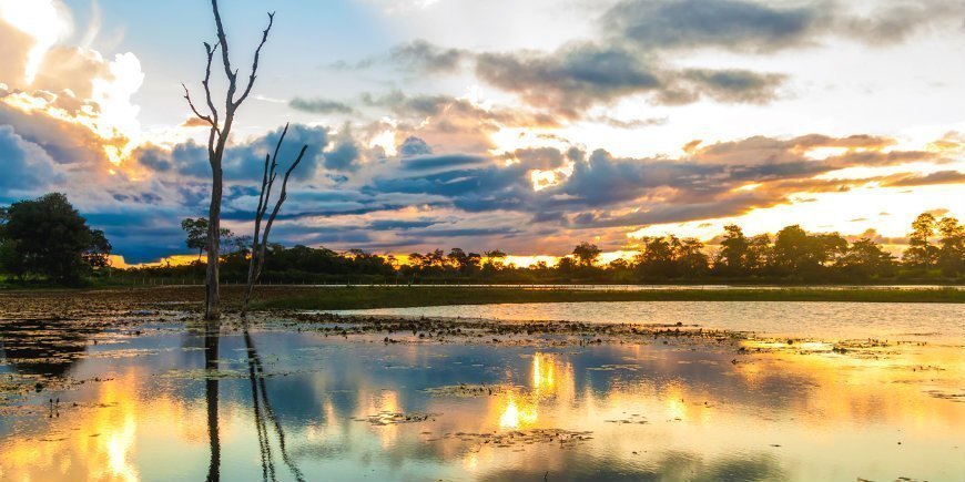 10 Pantanal Våtmarksområde R