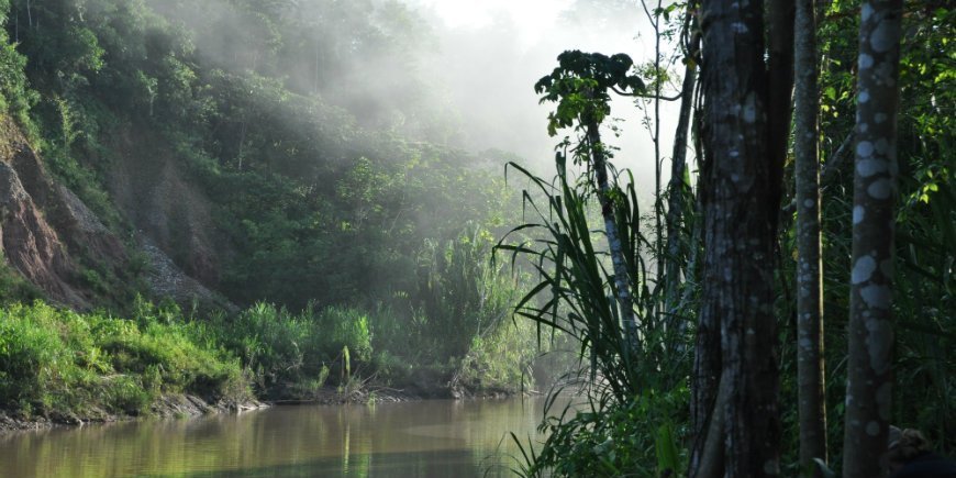 Amazonas Madre de Dios