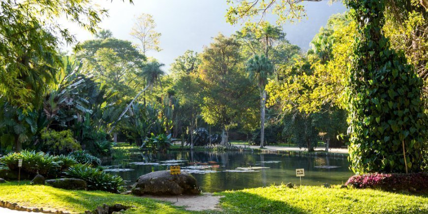 Botanisk trädgård